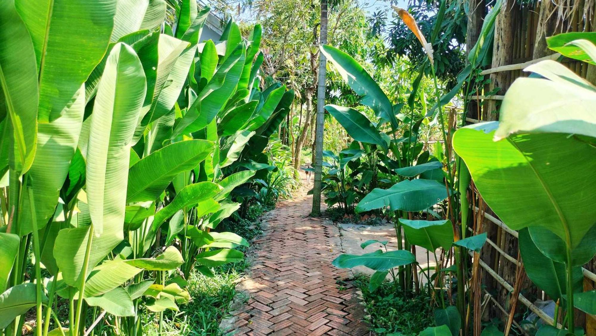 Urban Farmhouse Siem Reap Extérieur photo