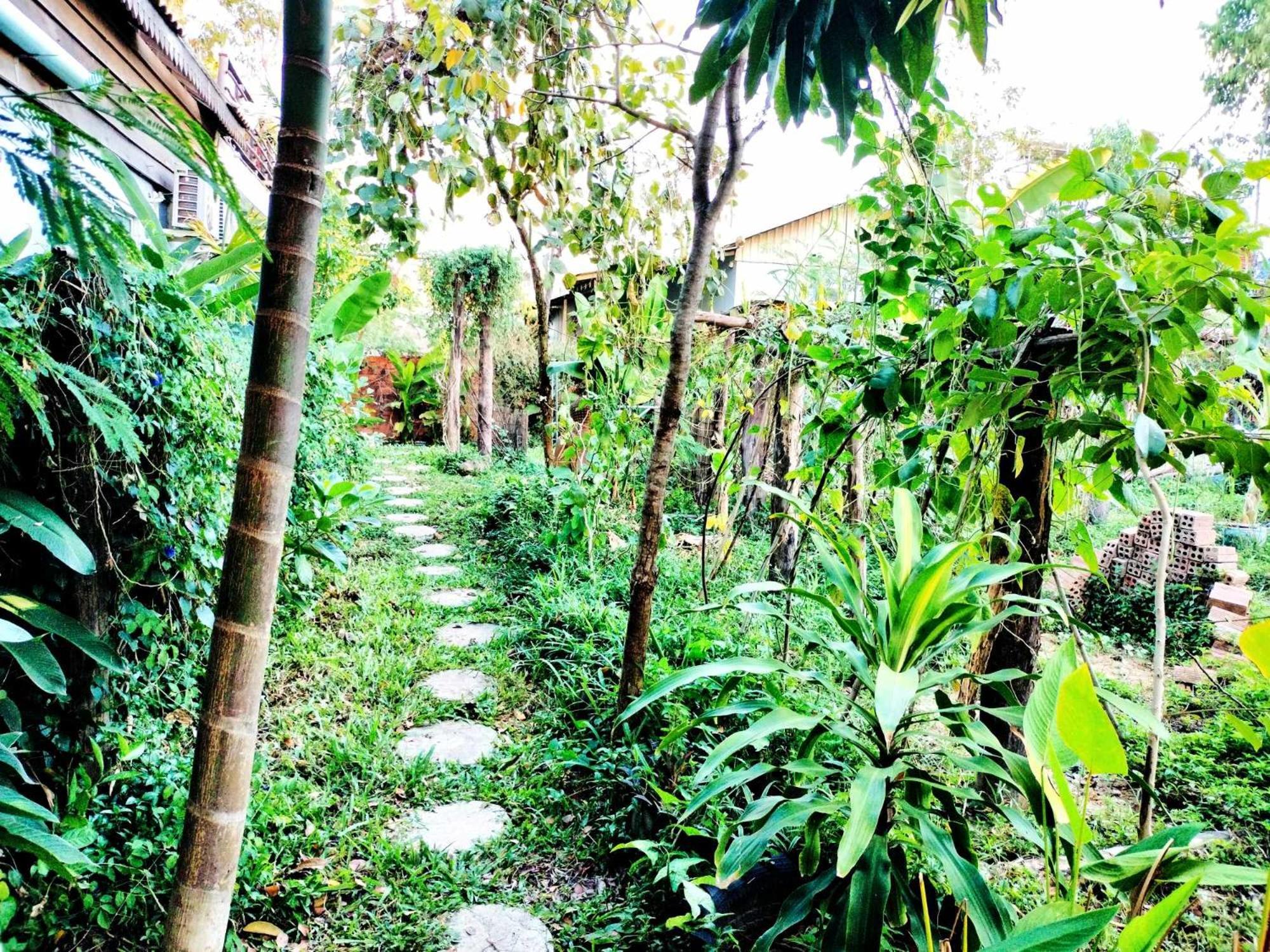 Urban Farmhouse Siem Reap Extérieur photo