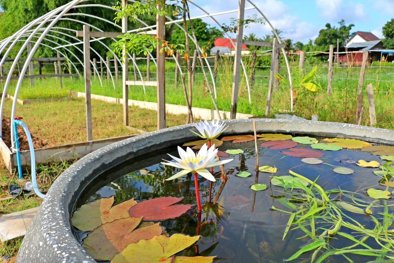 Urban Farmhouse Siem Reap Extérieur photo